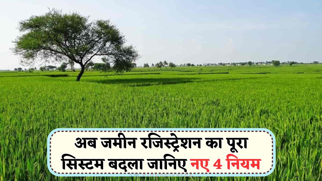 डिजिटल जमीन रजिस्ट्री