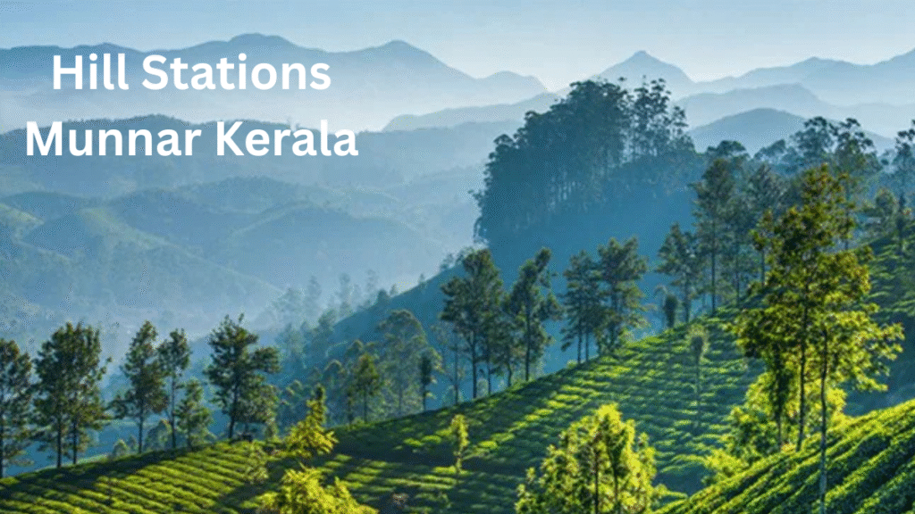 Hill Stations Munnar Kerala