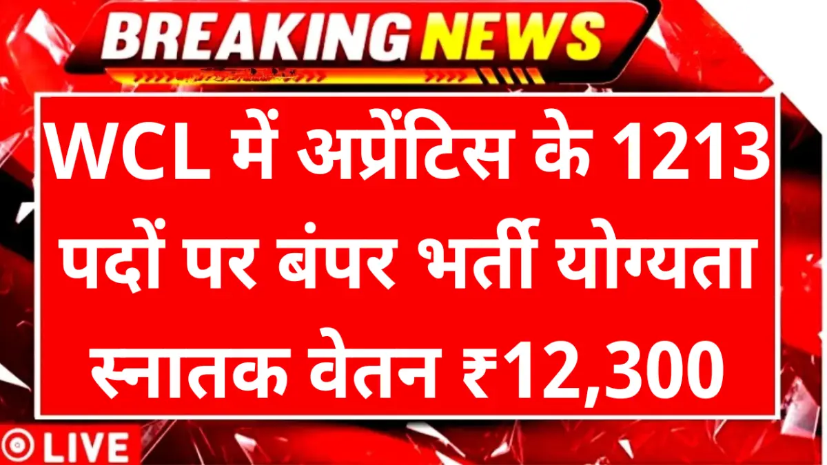 WCL Apprentice Vacancy 2025