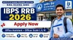 IBPS RRB Office Assistant Online Form 2026